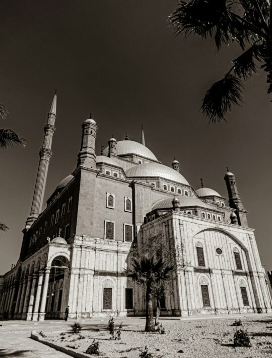 a black and white photo of a large building